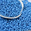 Opaque Acrylic Beads SACR-A007-01A-07-1