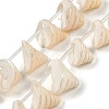Natural Shell Beads Strands SHEL-K009-11-1