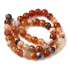 Dyed & Heated Natural Fire Crackle Agate Beads Strands G-P539-B01-19-3
