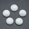 Natural Howlite Cabochons G-P393-R32-10mm-1