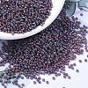 MIYUKI Round Rocailles Beads SEED-G007-RR1013-1