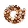 Natural Wood Lace Stone Wooden Jasper Beads Strands G-B128-A04-05-3
