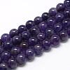 Natural Amethyst Beads Strands G-R446-6mm-21-1