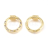 Brass Micro Pave Cubic Zirconia Screw Carabiner Lock Charms KK-M206-18G-01-2