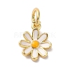 Brass Enamel Charms KK-L216-006G-01-1