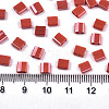 2-Hole Glass Seed Beads X-SEED-S031-L-ST125-2