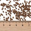 Baking Paint Glass Seed Beads X-SEED-S042-05B-43-4