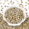 Picasso Glass Seed Beads SEED-N010-01A-2