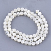 Natural White Shell Beads SHEL-T012-49C-2