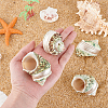 4Pcs Natural Shell FIND-PH0027-49-2