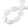 Natural Freshwater Shell Beads Strands SHEL-S278-02-A01-4