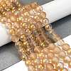 Frosted Transparent Glass Bead Strands GLAA-P065-8mm-02-1