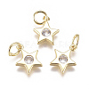 Brass Micro Pave Cubic Zirconia Charms X1-ZIRC-F111-09G-08-1