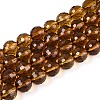 Transparent Glass Bead Strands GLAA-R095-10mm-31-1