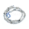 Natural Labradorite Beads Strands G-L550A-06-3