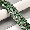 Synthetic Regalite/Imperial Jasper/Sea Sediment Jasper Beads Strands G-F765-D05-01-2