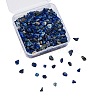 Natural Lapis Lazuli Chip Beads G-CJ0001-25-1