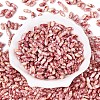Baking Paint Glass Seed Beads SEED-N008-06C-2