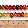 Dyed Imitation Gemstone Glass Beads Strands GL-Z001-03B-02-4