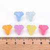 Frosted Acrylic Bead Caps X-MACR-S371-10A-5