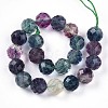 Natural Rainbow Fluorite Beads Strands G-S345-10mm-29-3