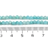 Natural Amazonite Beads Strands LS-G-P572-B04-A-5