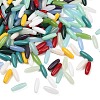 Opaque Colours Glass Seed Beads EGLA-K064-10-1
