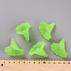 Transparent Acrylic Beads BSF796-C18-6