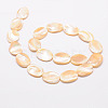 Natural Sea Shell Oval Bead Strands SSHEL-M015-02-20x15mm-2