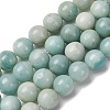 Round Natural Amazonite Bead Strands G-I183-02-12mm-2