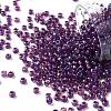 TOHO Round Seed Beads SEED-JPTR08-0928-1