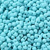Rubberized Style Glass Seed Beads SEED-Z003-01D-3