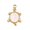 304 Stainless Steel Pendants STAS-L298-03G-02-1