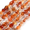 Natural Carnelian Beads Strands X-G-P497-01C-35-1