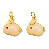Rabbit Glass Charms GLAA-WH0030-09A-1