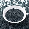 MIYUKI Round Rocailles Beads SEED-X0054-RR0362-2