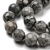 Natural Map Stone/Picasso Stone/Picasso Jasper Beads Strands G-C079-B05-01-4