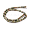 Natural Unakite Beads Strands X-G-F631-K19-3