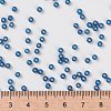 MIYUKI Round Rocailles Beads X-SEED-G008-RR0648-2