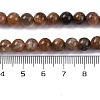 Natural Black Moonstone Beads Strands G-A219-A01-02-7