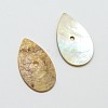 Flat Teardrop Natural Akoya Shell Beads SHEL-N034-01-2