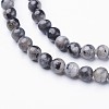 Natural Larvikite Beads Strands GSR3mmC128-3