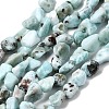 Natural Larimar Beads Strands G-P601-A20-02-2