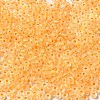 12/0 Transparent Glass Seed Beads X-SEED-F003-03C-01-3