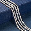 Natural Cultured Freshwater Pearl Beads PEAR-D087-1-5
