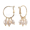 Brass Hoop Earrings EJEW-JE04273-2