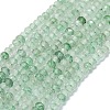 Natural Green Strawberry Quartz Beads Strands G-G106-A12-01-1