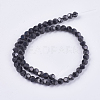 Electroplate Glass Beads Strands LAMP-F012-C03-2