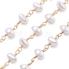 Brass Link Chains CHC-H109-01G-03-1