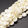 Natural Trochid Shell/Trochus Shell Beads Strands SSHEL-K016-03A-1